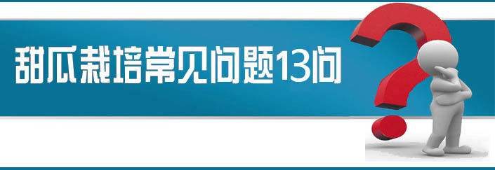 蔬菜種子栽培技術-<strong><font color='#006428'>甜瓜栽培常見問題13問？</font></strong>