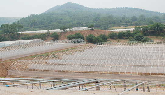 蔬菜種子實(shí)驗(yàn)基地江蘇科研基地