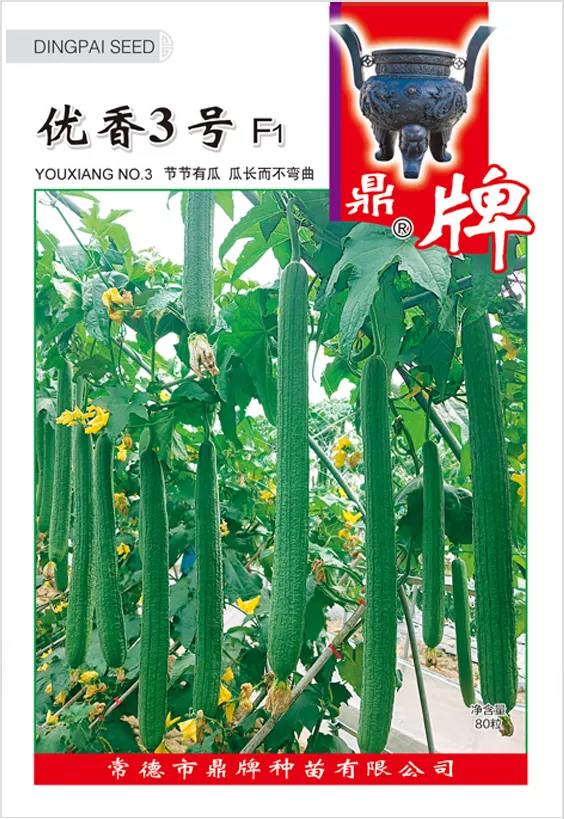 它是絲瓜種植戶的新選擇，節(jié)節(jié)有瓜，瓜長而不彎曲