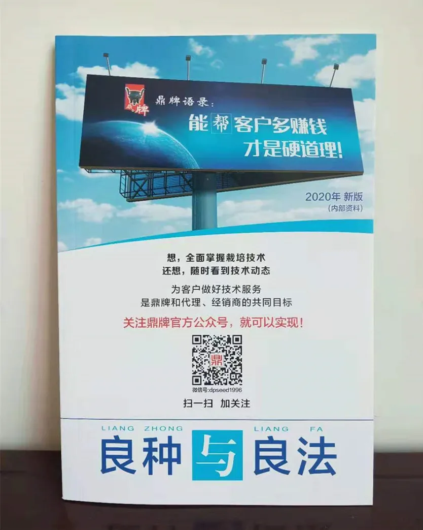 河南焦作的李向林今年種植甜瓜新品種，客戶直接拉貨走人