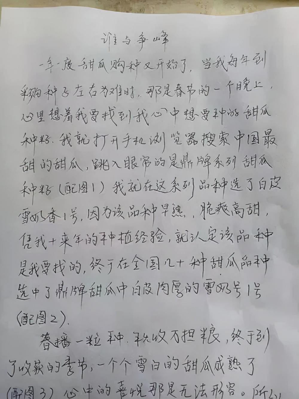 河南焦作的李向林今年種植甜瓜新品種，客戶直接拉貨走人