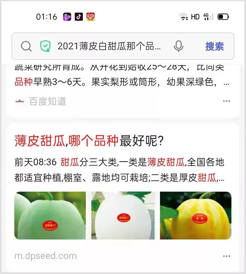 河南焦作的李向林今年種植甜瓜新品種，客戶直接拉貨走人