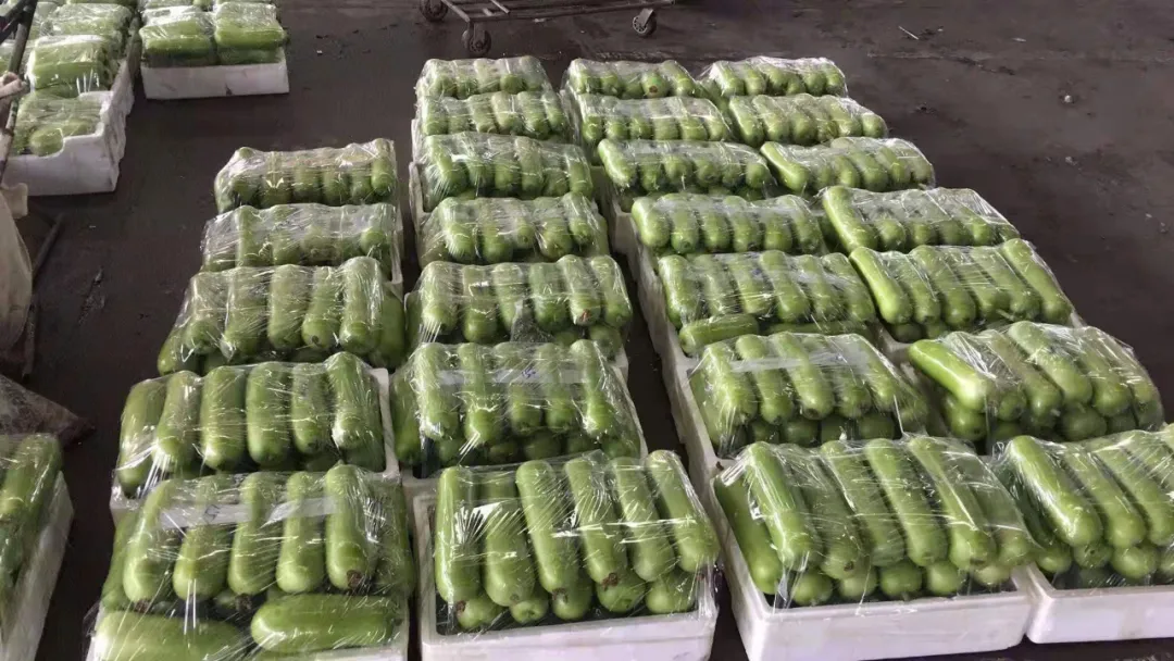 這個品種上市早，價格好！我連續(xù)種了三年，滿意